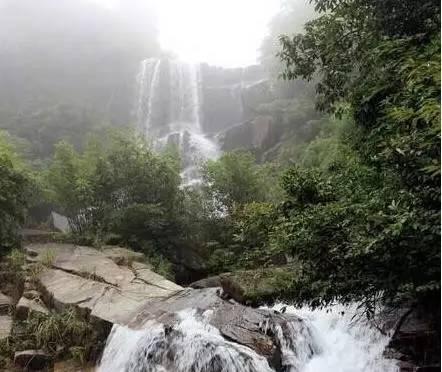 为爱护航，助力妇女儿童维权—西宁铁检院（三江源院）牵头正式挂牌成立“心系青藏线 情暖三江源”妇女儿童维权工作室
